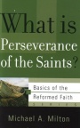 What is Perseverance of the Saints ? - BORF